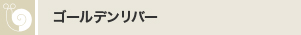 ゴールデンリバー
