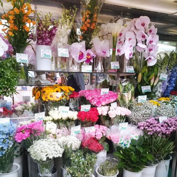 honten_flower_seika
