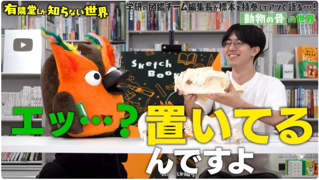 YouTube出演中の松原編集長、トラの頭蓋骨を見せる