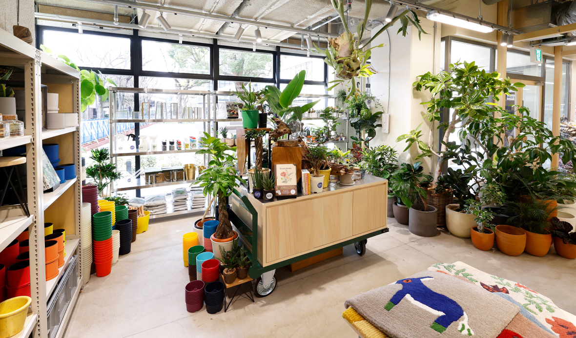 観葉植物を販売するボタニカルエリアの写真