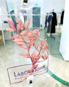 ミニギフト見本