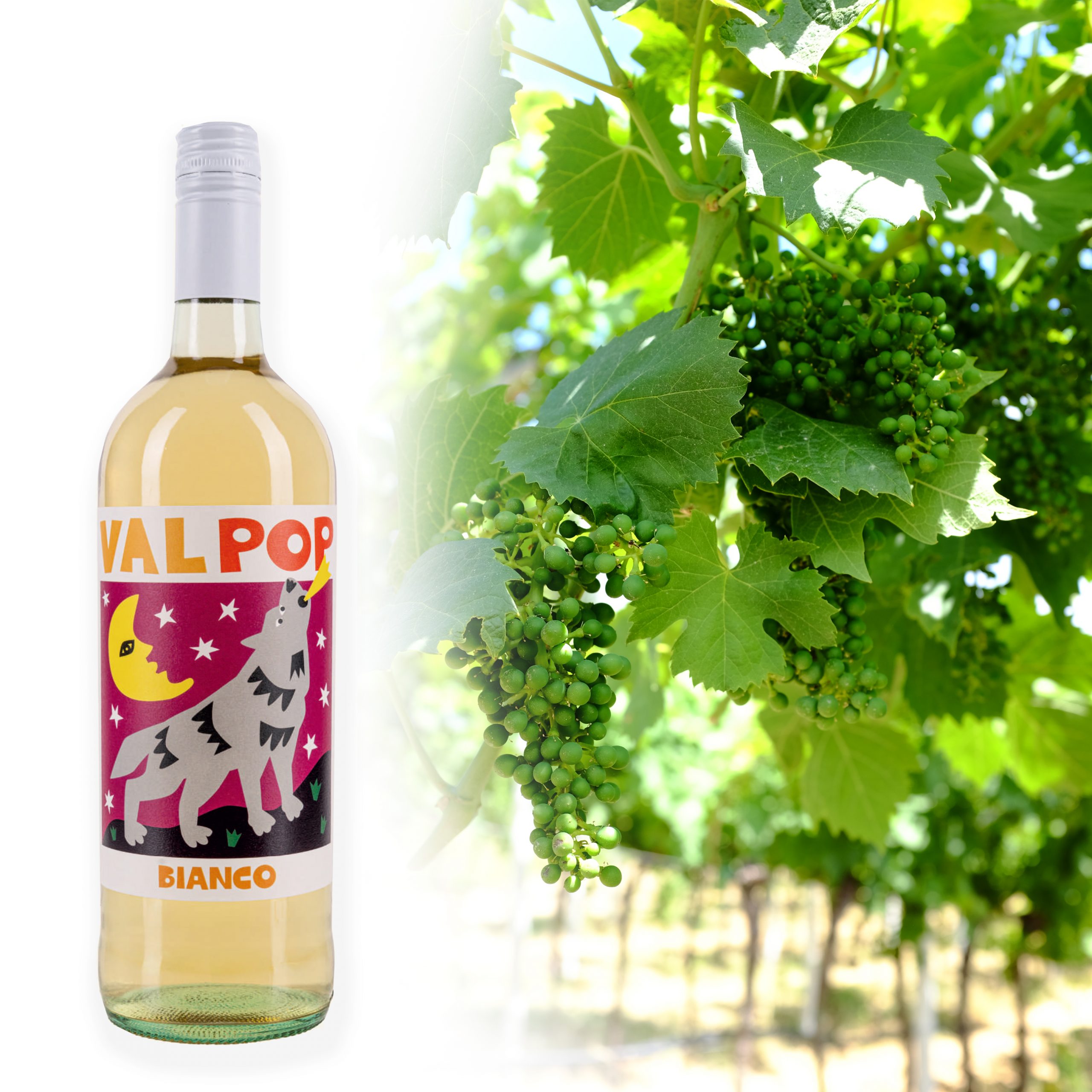 ワインボトルとブドウ畑