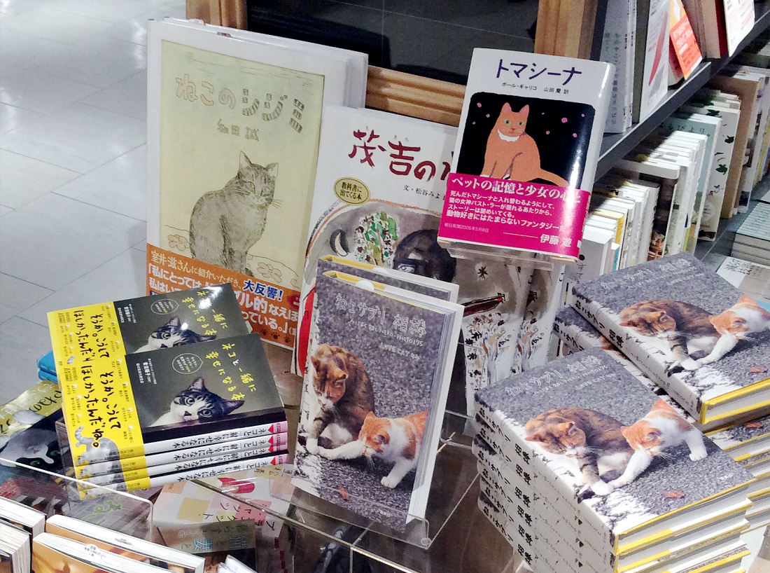 ねこ辞苑 Story Story 新宿 有隣堂 ねこ辞苑 Story Story 新宿 有隣堂