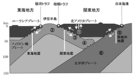 首都圏直下の地下構造概略図