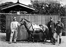 医師のウィーラー（左）と日本産サラブレッド、タイフーン号（『ファー・イースト』1872年7月1日号より）