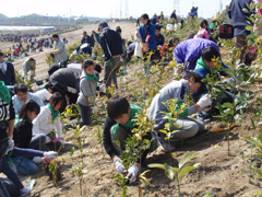 東海市植樹祭（2009年2月）