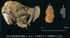 遺跡間接合状態