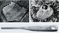 上左：土器の破片／上右：貝輪／下：万田貝殻坂型ヘラ状角器 （全長21,7cm）