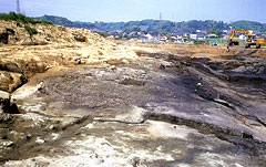 羽根尾貝塚全景