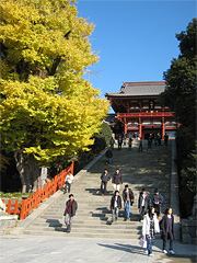 鶴岡八幡宮　鎌倉市