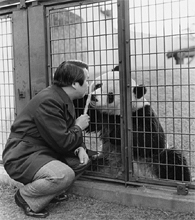 上野動物園飼育課長時代の中川氏とパンダ「カンカン」