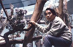 多摩動物公園時代の中川氏とコアラ「トムトム」