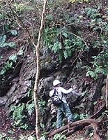 サンゴ石灰岩の露頭