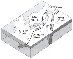 日本周辺のプレート