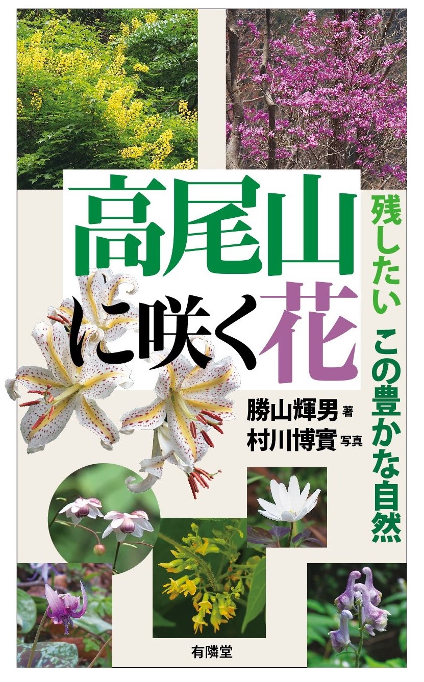 高尾山に咲く花 出版物 有隣堂 高尾山に咲く花 出版物 有隣堂
